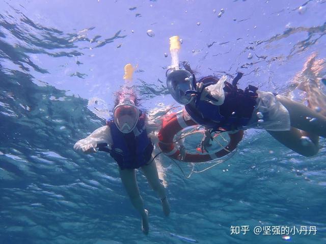 Malaysia Traviling 马来西亚沙巴自助游攻略