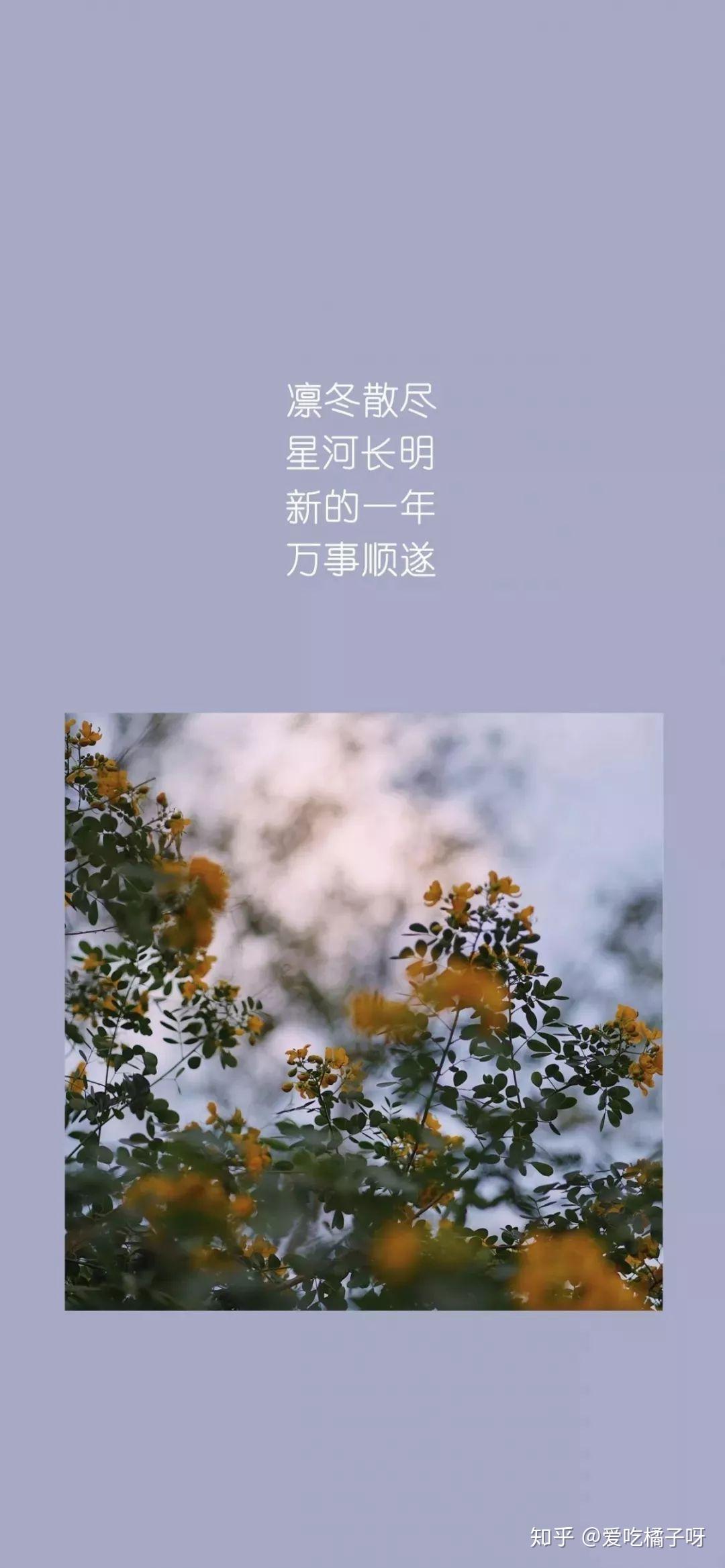 有没有明媚一点的,看起来就会让人觉得心情很好的壁纸,纯色的或者鲜亮