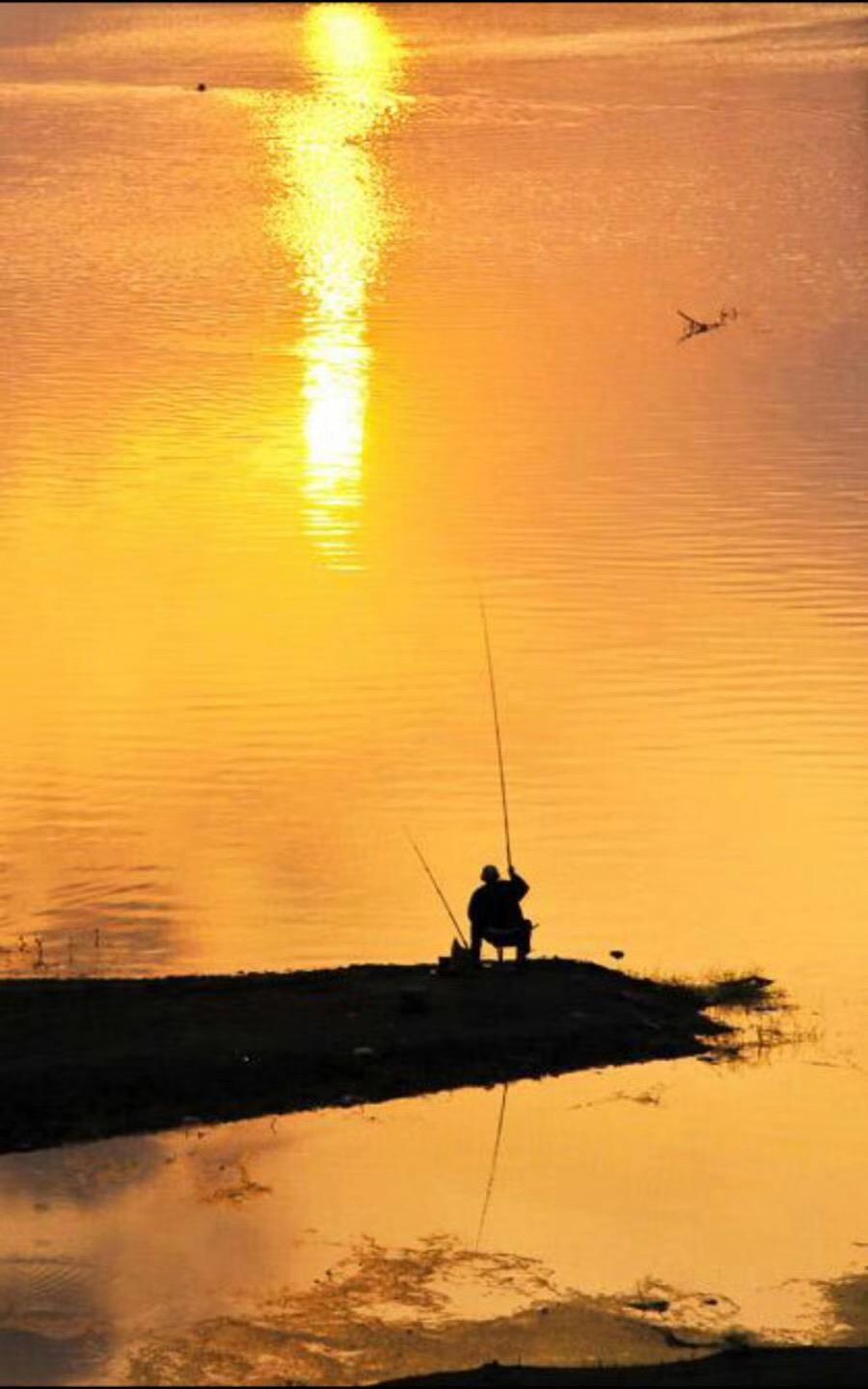 虞美人0202安阳洹上村