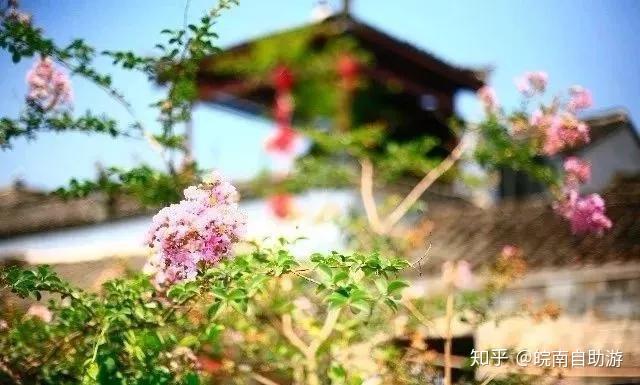 安徽旅游:安徽最值得游玩的21个最美古村落,你去过几个? - 知乎