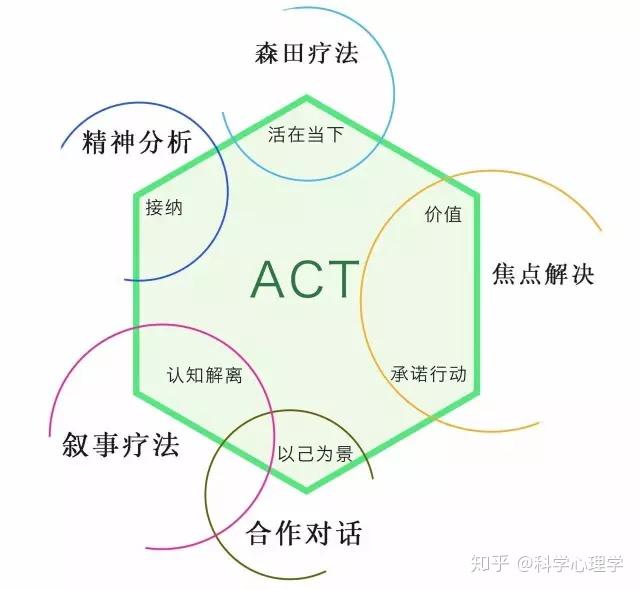 接纳承诺疗法act提升你的心理灵活性
