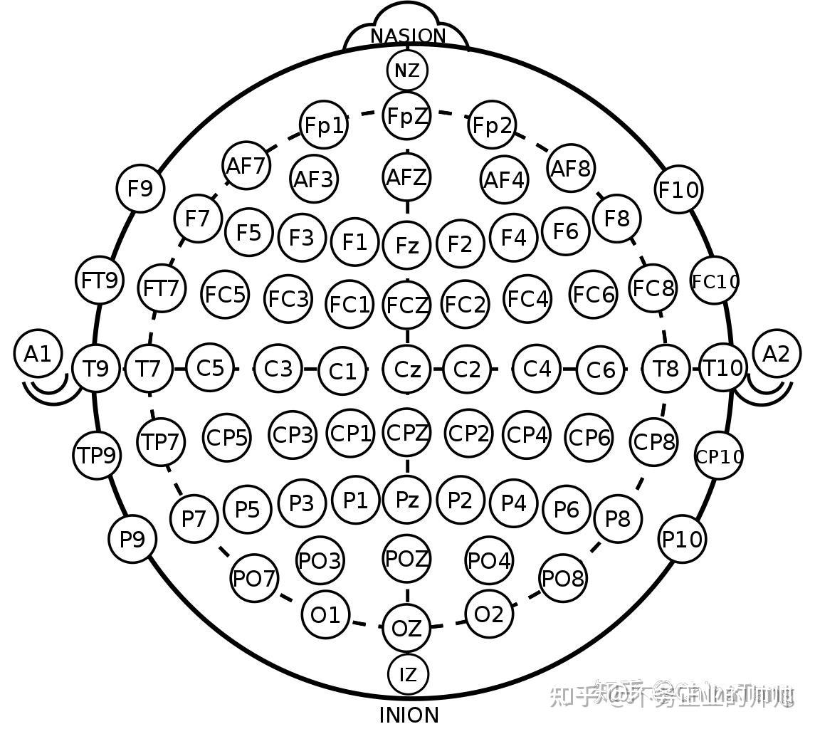 脑电图的定位方法图片