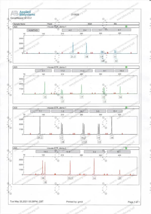 最新！小鼠细胞系STR数据库更新！（114 mouse cell lines with STR profiles） - 知乎