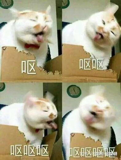 v2-613358e74f8e8dada19262ae79f61d36_b.jpg