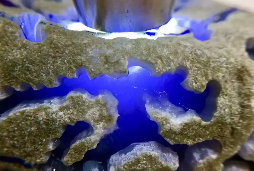 高品质翡翠原石帝王紫