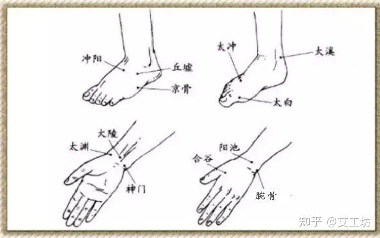 八脉交会的图解释图片