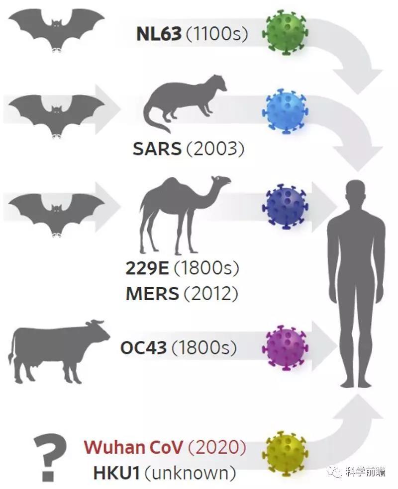 新型冠状病毒atoz