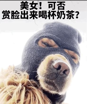 显得既霸气又可爱.额外说明:表情包来自逗比拯救世界.