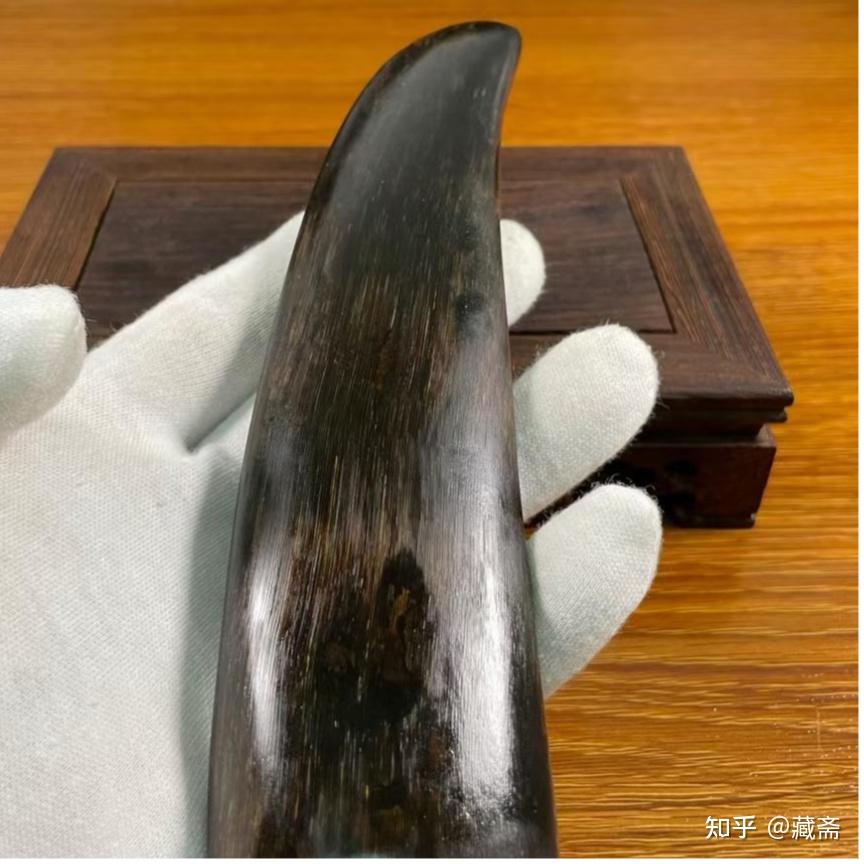 如何选好真假披毛犀角?披毛犀角多少一克?