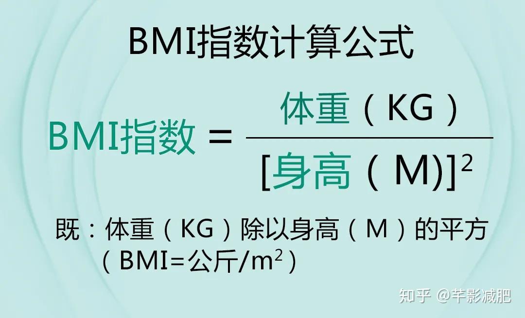 身体质量指数bmi