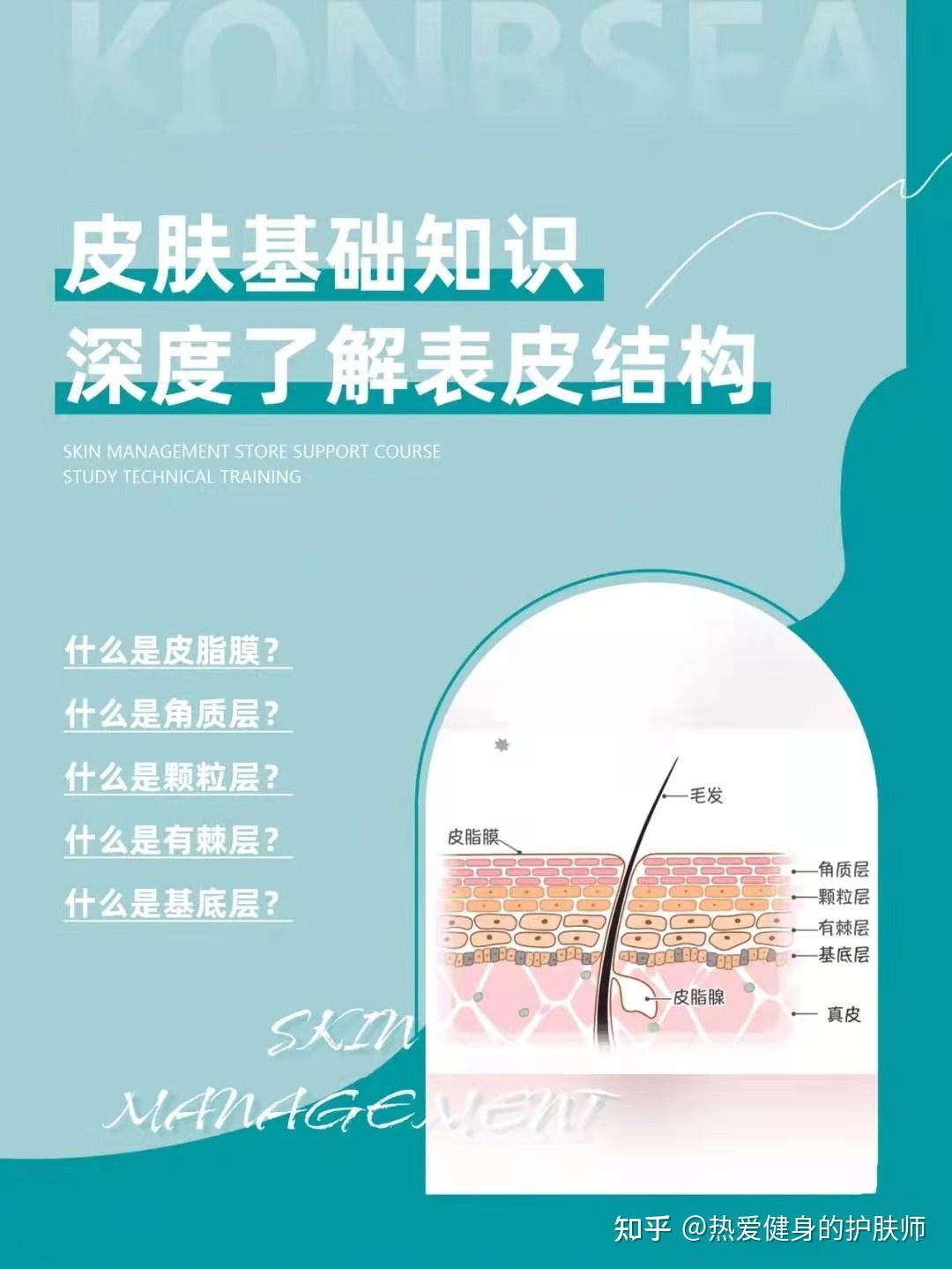 第二集人人必懂的皮肤基础知识——了解表皮结构 - 知乎