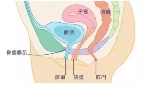 吃药能彻底治好膀胱过度活动症吗 知乎