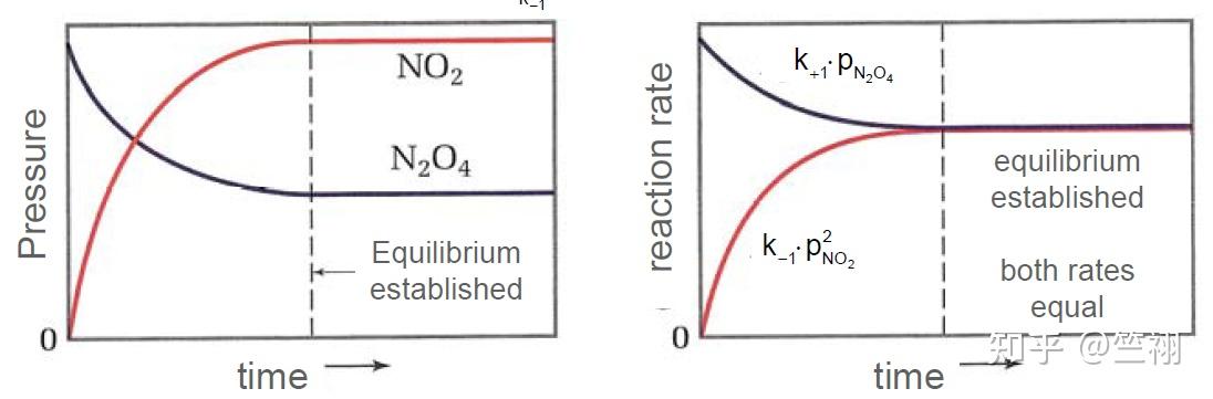 化学反应工程(2)-反应动力学(Reaction Kinetics)-一些更深入的反应 - 知乎