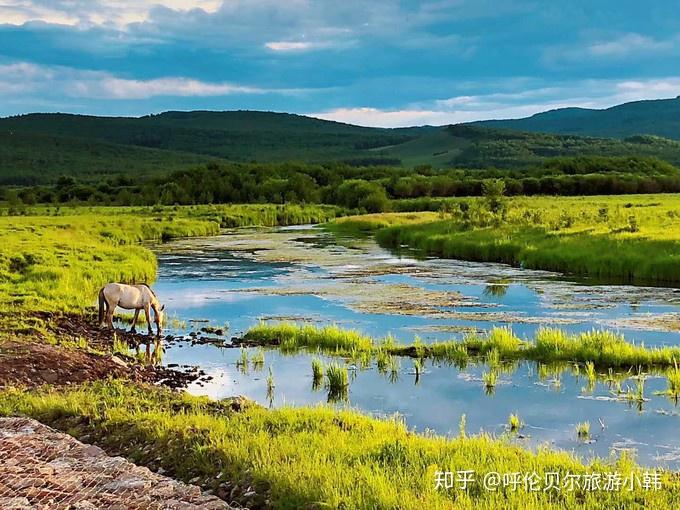 呼倫貝爾大草原旅遊攻略內蒙古自由行攻略