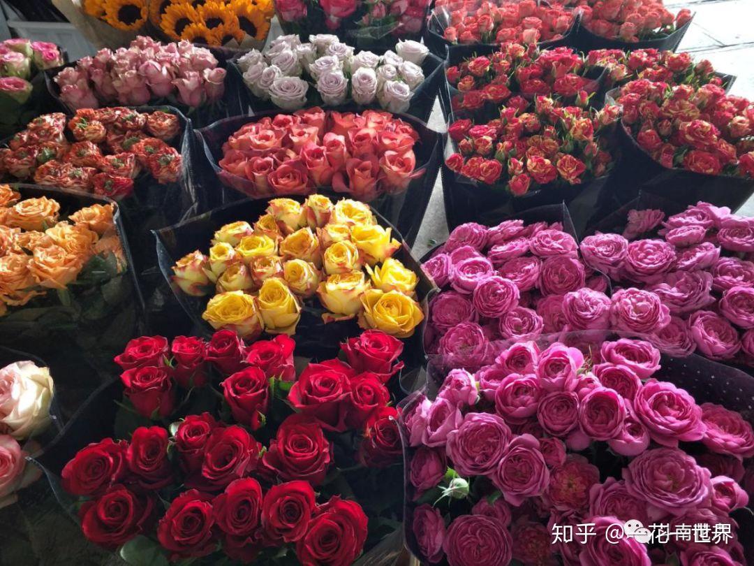 做鲜花批发需要什么设备呢知乎