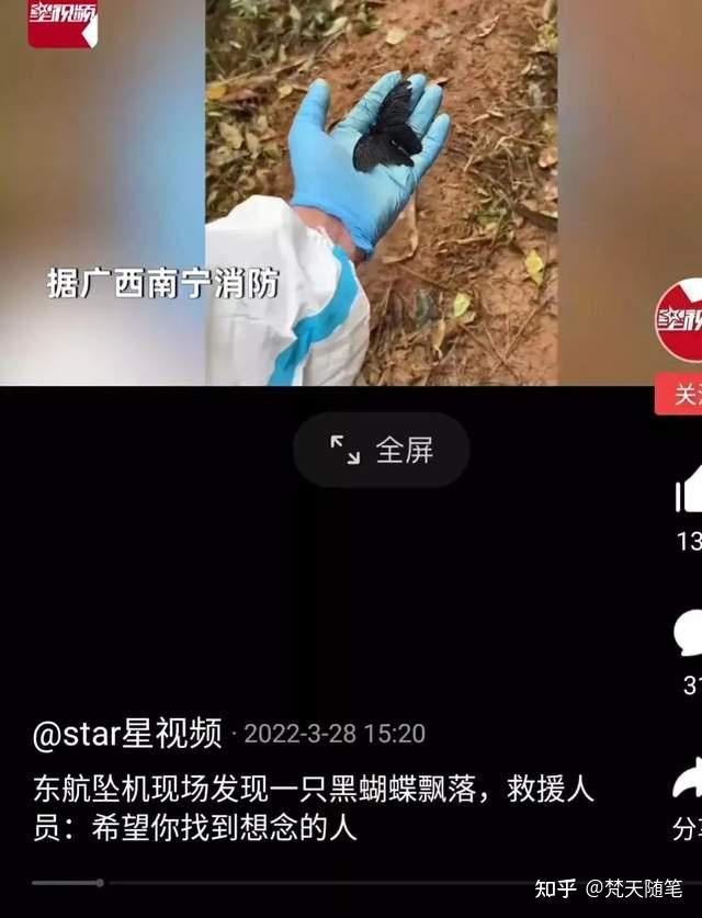 搜救队伍在东航坠机现场发现了一只黑蝴蝶,很多人想到了蝴蝶结女孩,真