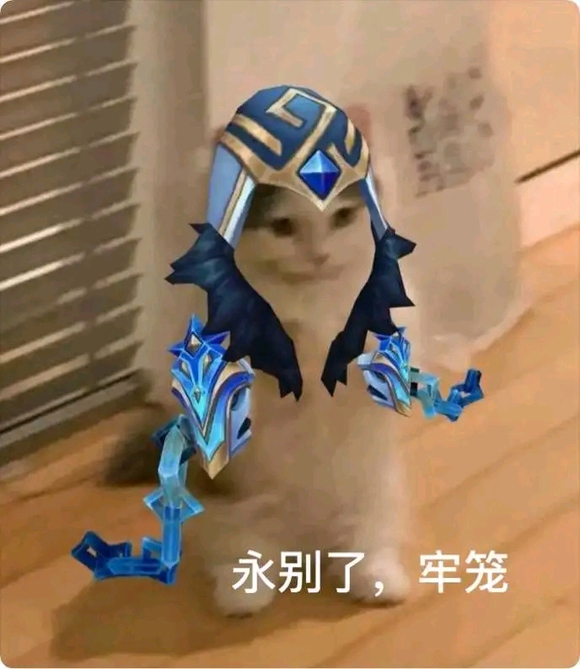 lol英雄联盟猫猫表情包