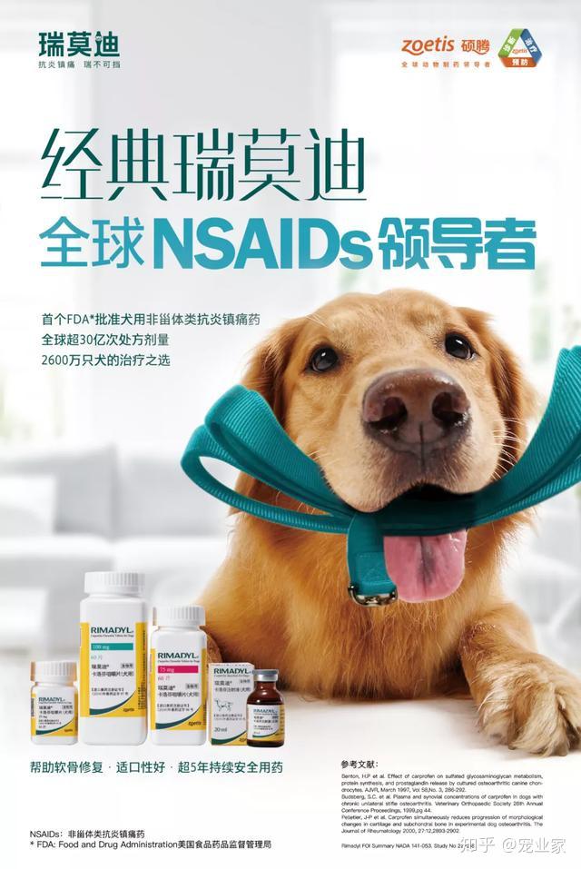 瑞莫迪03正式登陆中国市场王威院长在现场分享:当前