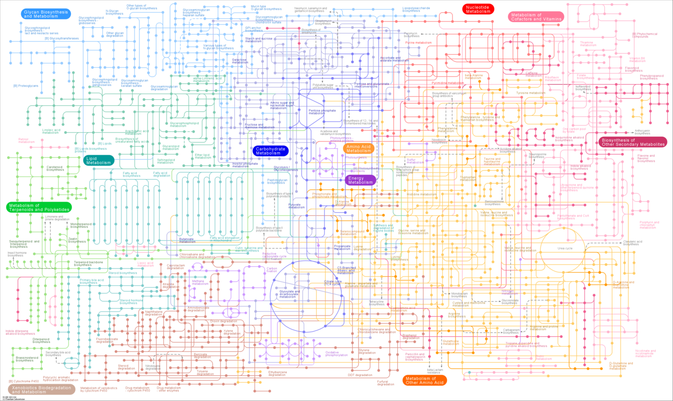 带你正确认识代谢组学 - 知乎