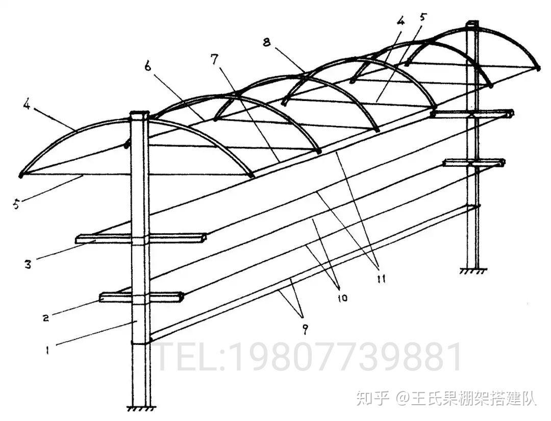 葡萄使用避雨棚架有哪些作用?