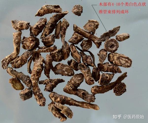 带你识别胡黄连 - 知乎