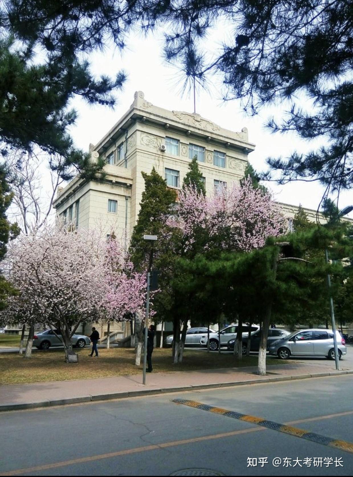 东北大学冶金工程考研