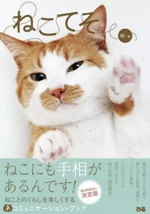 猫也能看手相 5种肉垫对应5种性格 你的猫是哪一款 知乎