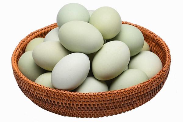 鸡蛋壳什么颜色好?如何准确进行颜色区分?