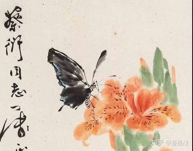 收藏！国画蝴蝶纸上来- 知乎