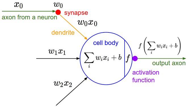 聊一聊深度学习的activation function