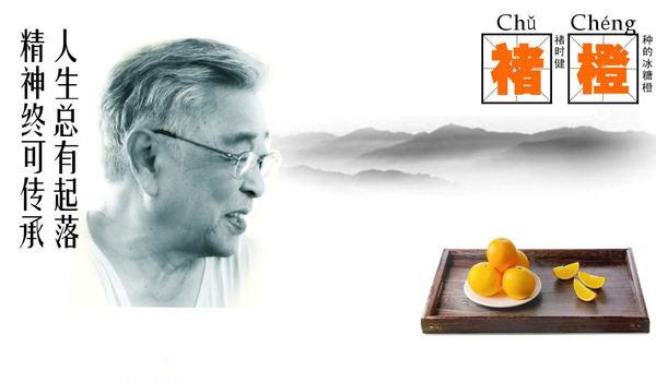 褚老与褚橙,探秘情感消费市场的内核 知乎