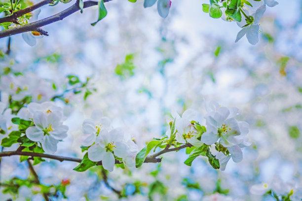 v2-6213f508914b36103107e1de3e9c9cc9_1440w.jpg?source=172ae18b