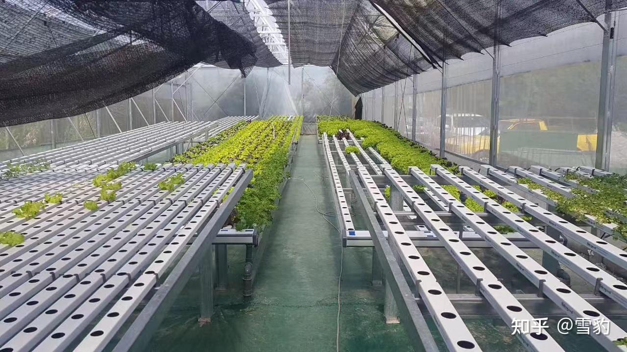 干货-解决无土栽培生产中的营养液管理 - 知乎