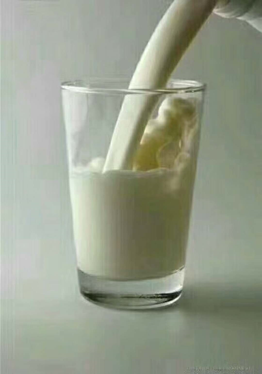 早上不能空腹喝牛奶? 睡覺前喝牛奶的效果較好? 喝牛奶的6大注意事項 | +01資訊網