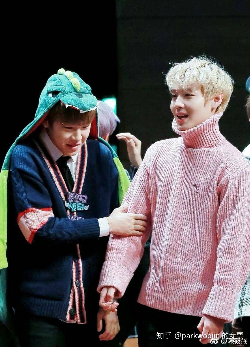 如何看待wanna one朴志训和朴佑镇飞机扯头发事件?