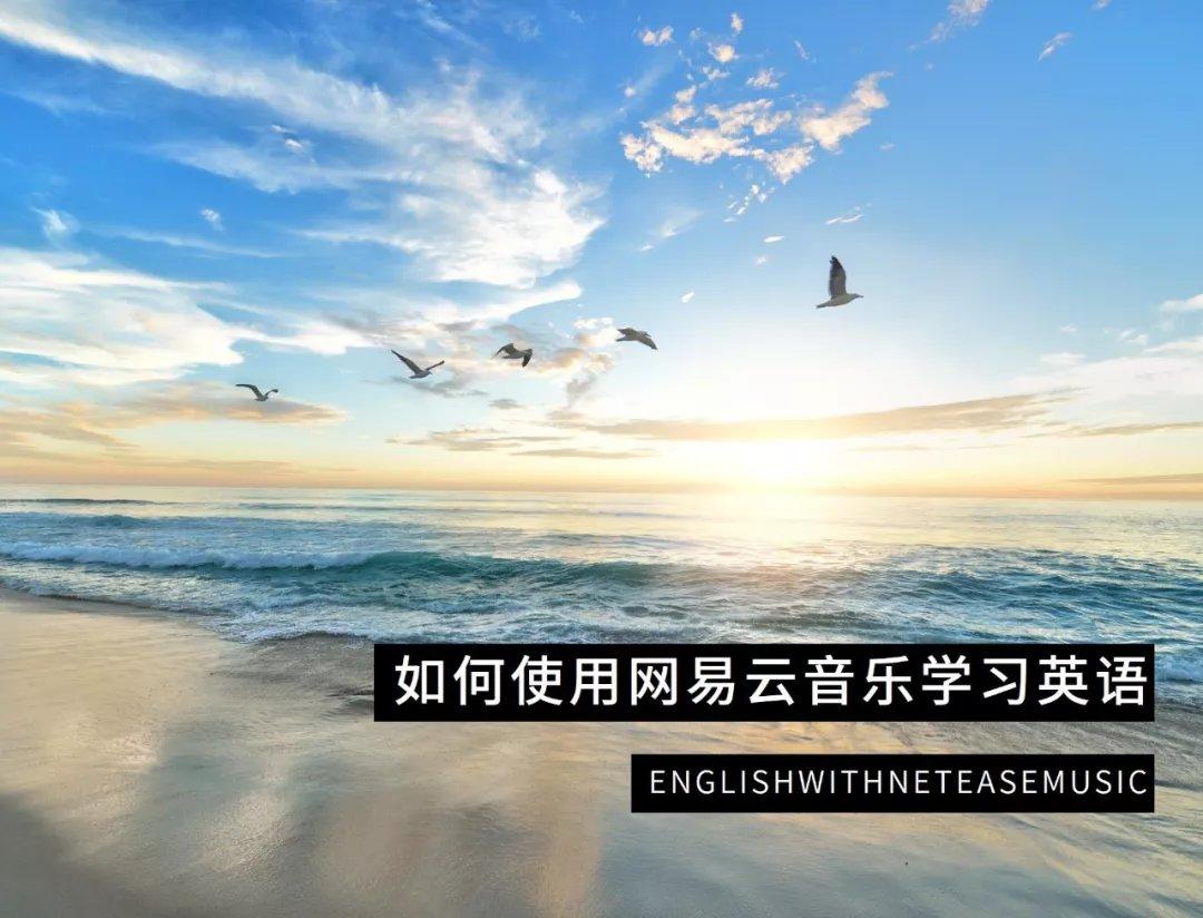 想不到吧 我竟然在网易云音乐学英语 知乎 想不到吧 我竟然在网易云音乐学英语 知乎