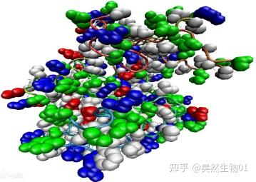 高分子有哪些？高分子的种类划分总结 知乎