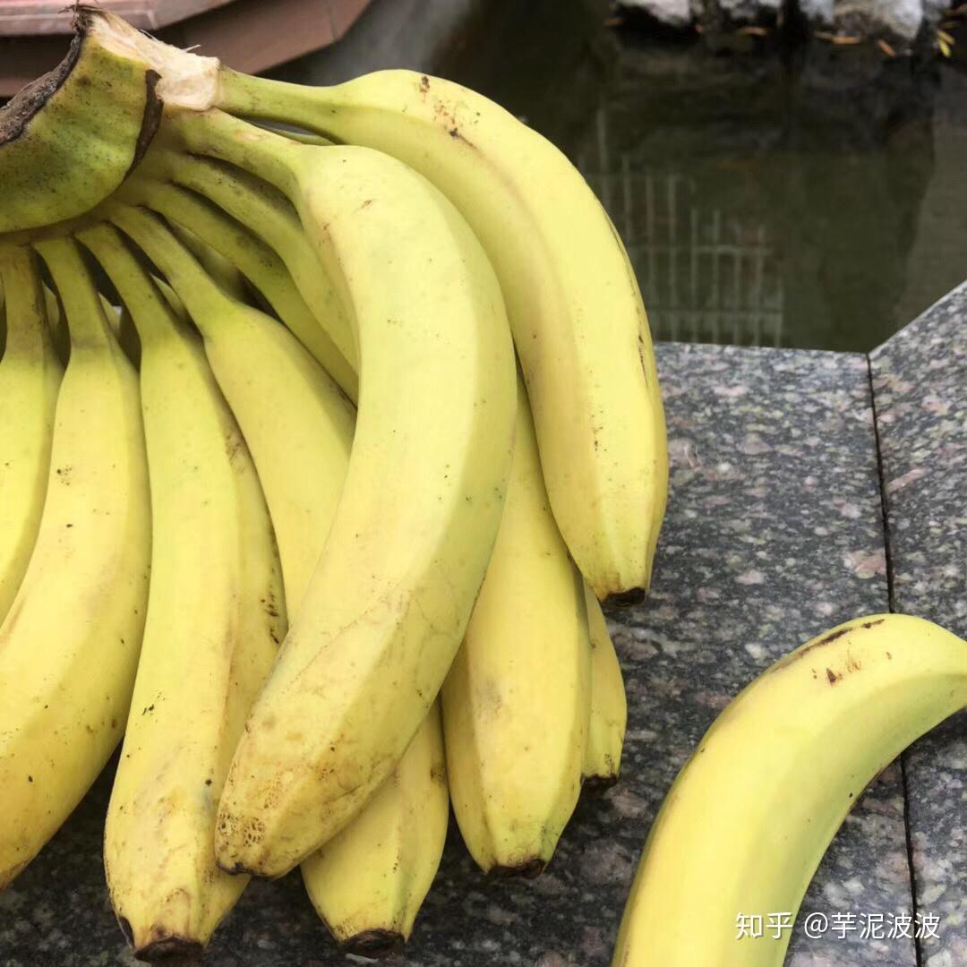 在校大学生如何赚钱独立?