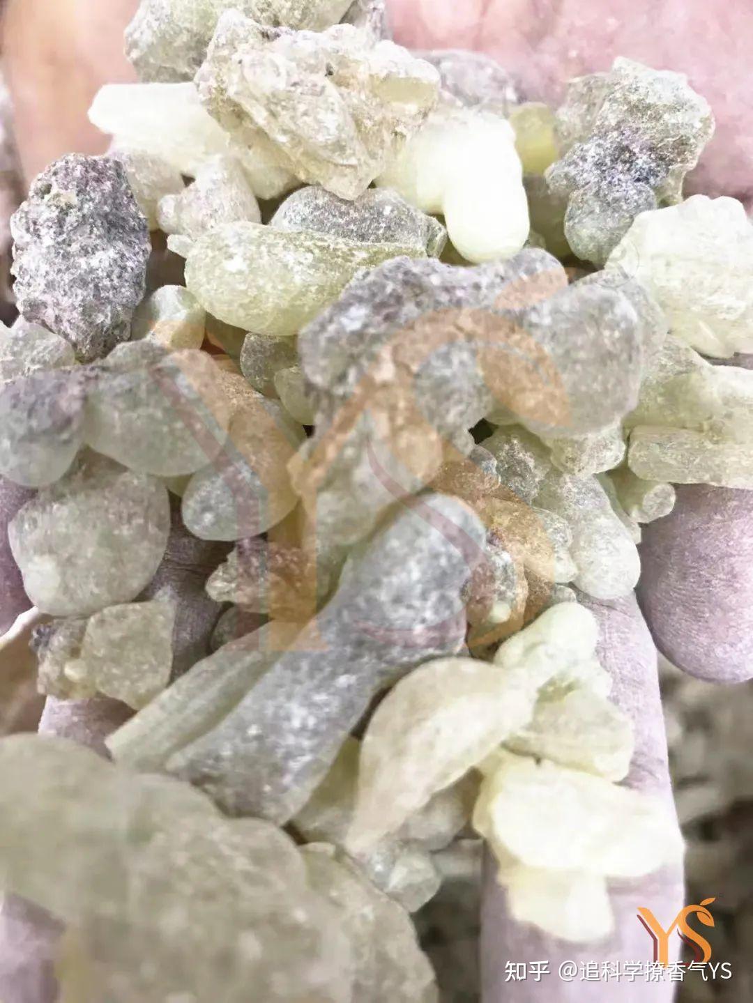 索马里乳香纯露