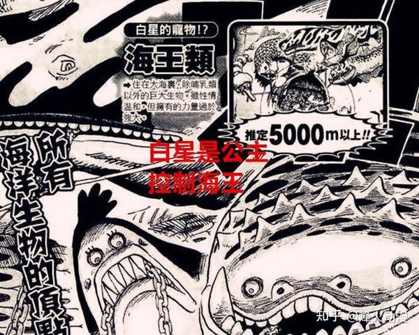 海贼王漫画解读:王族血统是开启古代兵器的唯一条件,路飞是天王 - 知乎