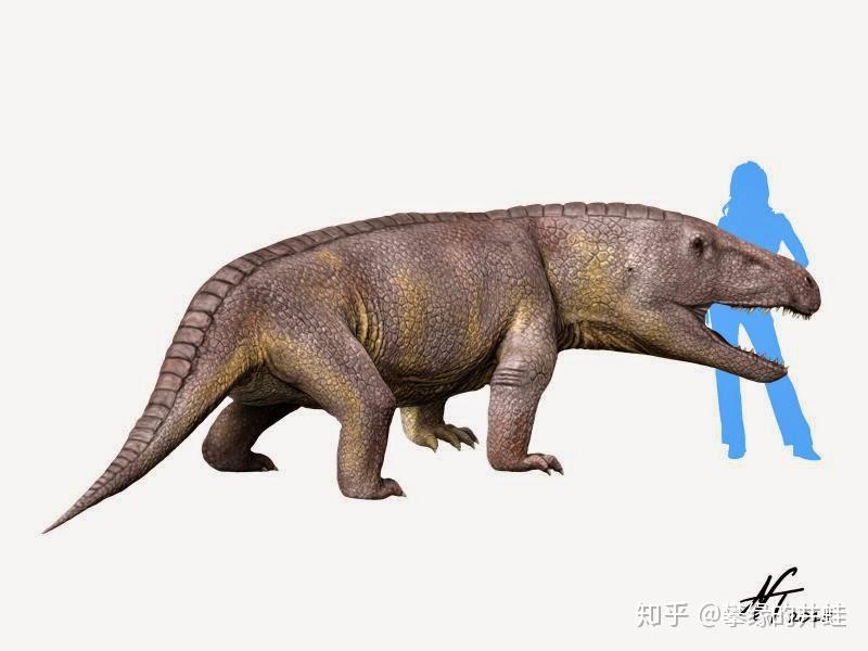 第二百五十八回九龙颂1鼋鼍出没蛟鳄横