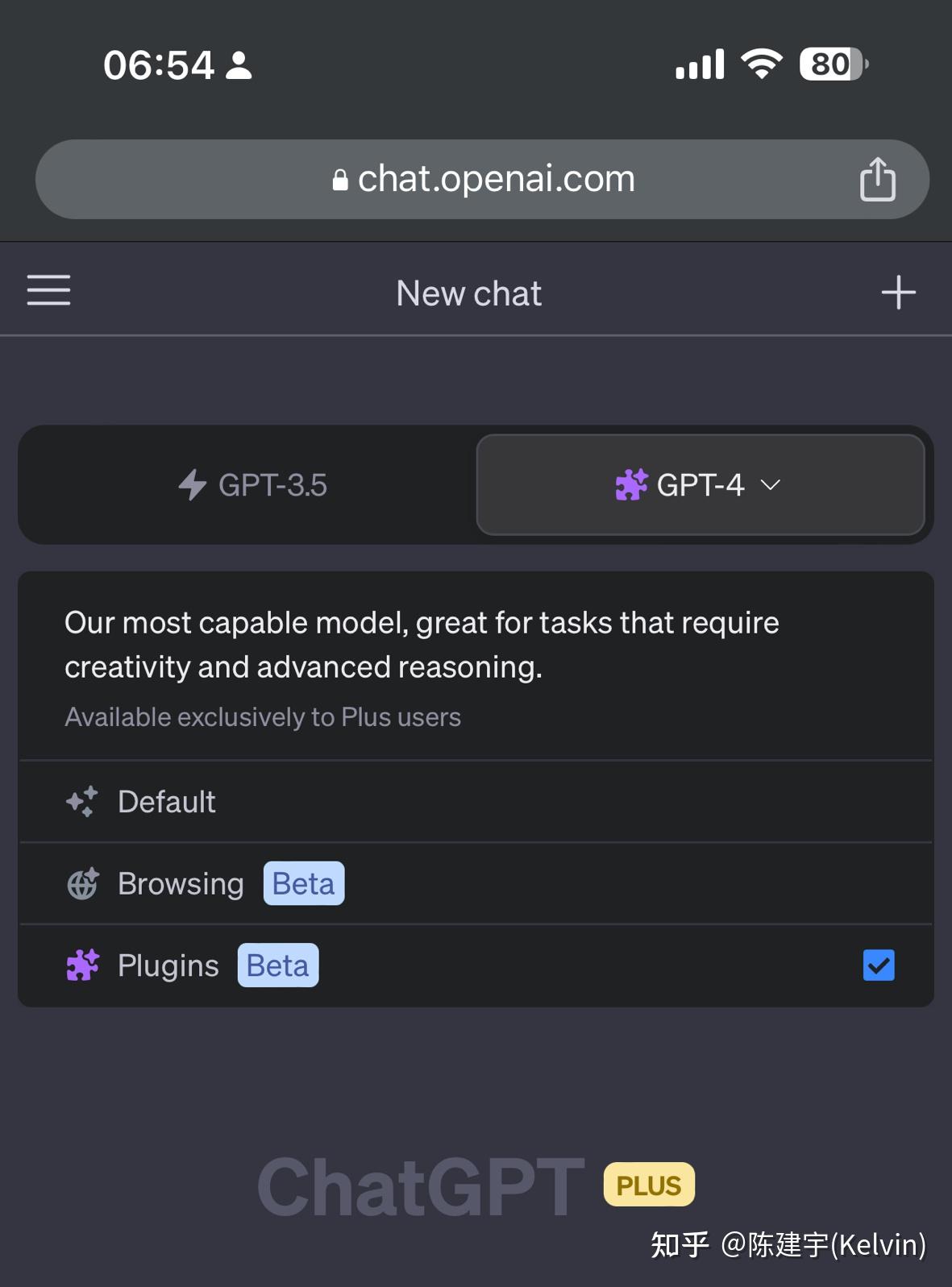 如何打开ChatGPT Plugin 功能 - 知乎