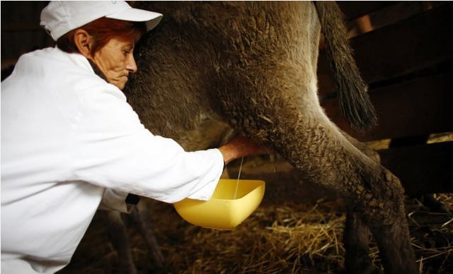 郑爽遭封杀下场惨她代孕弃养的孩子才更无辜快喝杯驴奶压惊吧