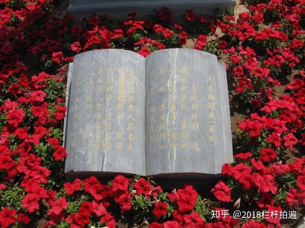 北京 世界花卉大观园 十二花神 下 知乎