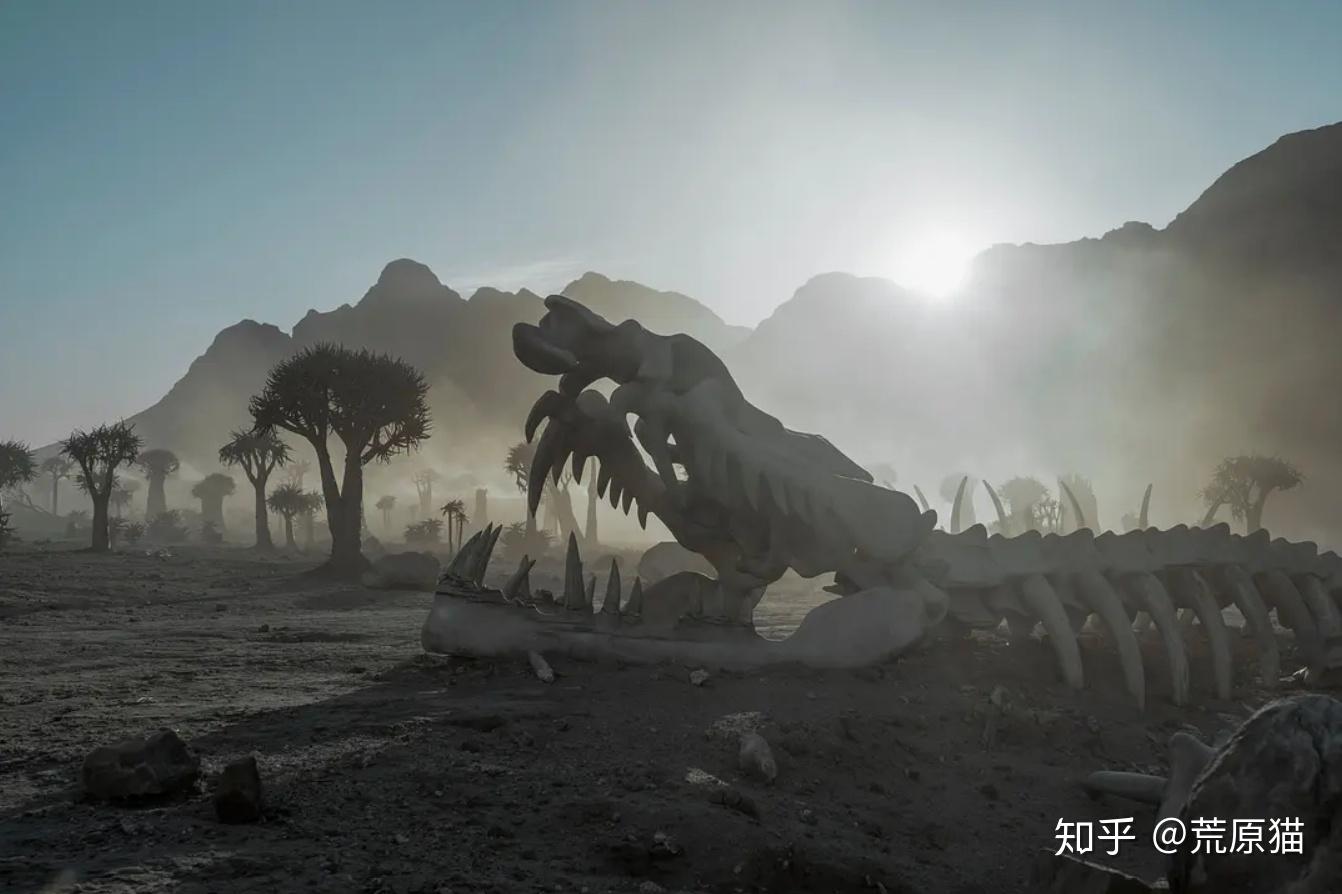 自我的信仰之旅博尔赫斯环形废墟的臆想解读