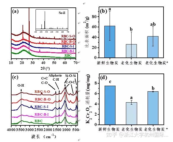 (1)生物炭颗粒表面形貌图1 生物炭颗粒表面扫描电镜图将不经任何预