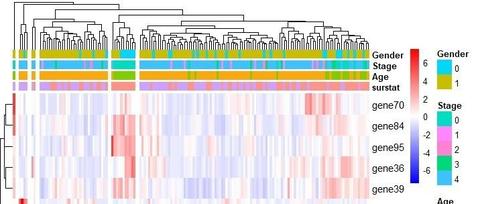 R语言pheatmap绘制基因表达热图 知乎