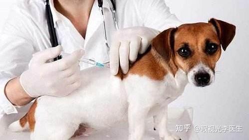 白瞳症的病因及预防 - 知乎