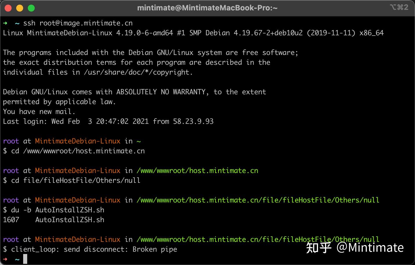 Linux/Mac如何配置zsh并使用Ohmyzsh？让你的终端更加好用 知乎