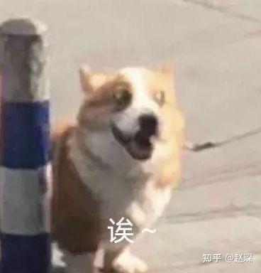 v2-62dd415f69c0a184bfbb76c514a56c4a_b.jpg